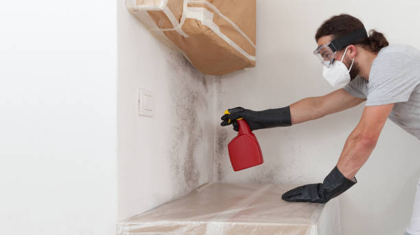Professional Bathroom Mold Removal technician working in Mears, MI